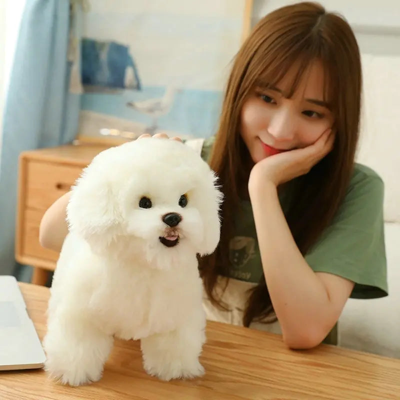 Simulation Bichon Frise Plush dog Toy Super Cute Likelife Pomeranian Stuffed Animals Birthday Puppy Pets toys for pet lovers