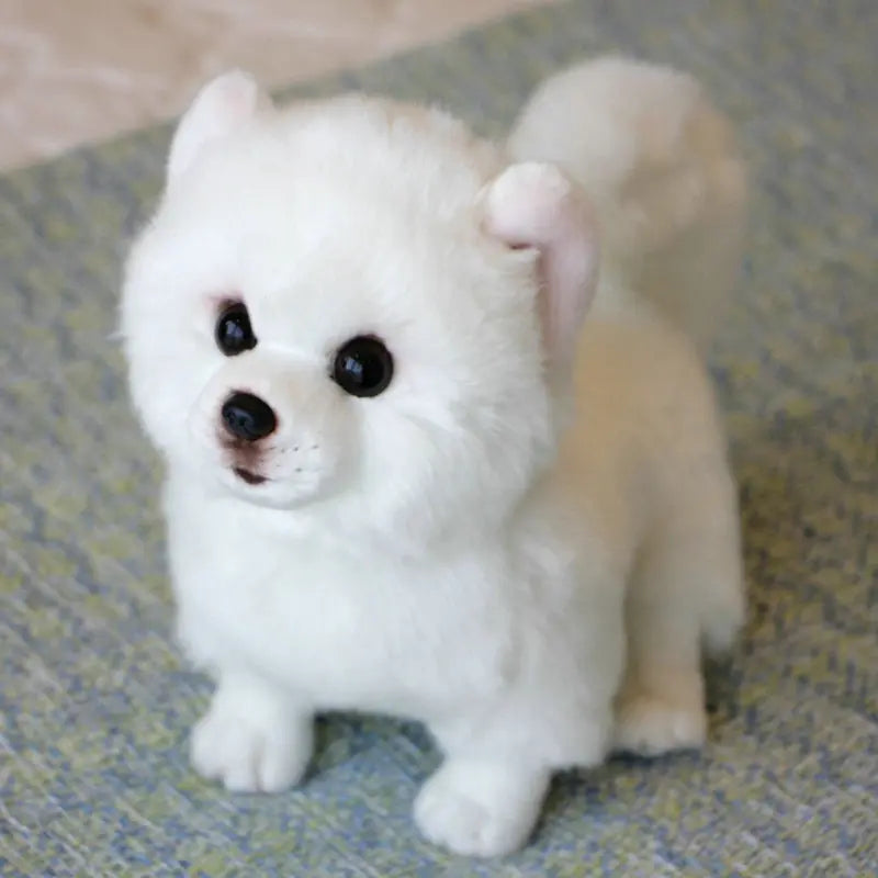Simulation Bichon Frise Plush dog Toy Super Cute Likelife Pomeranian Stuffed Animals Birthday Puppy Pets toys for pet lovers