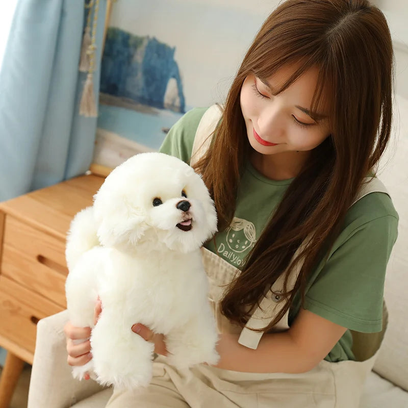 Simulation Bichon Frise Plush dog Toy Super Cute Likelife Pomeranian Stuffed Animals Birthday Puppy Pets toys for pet lovers