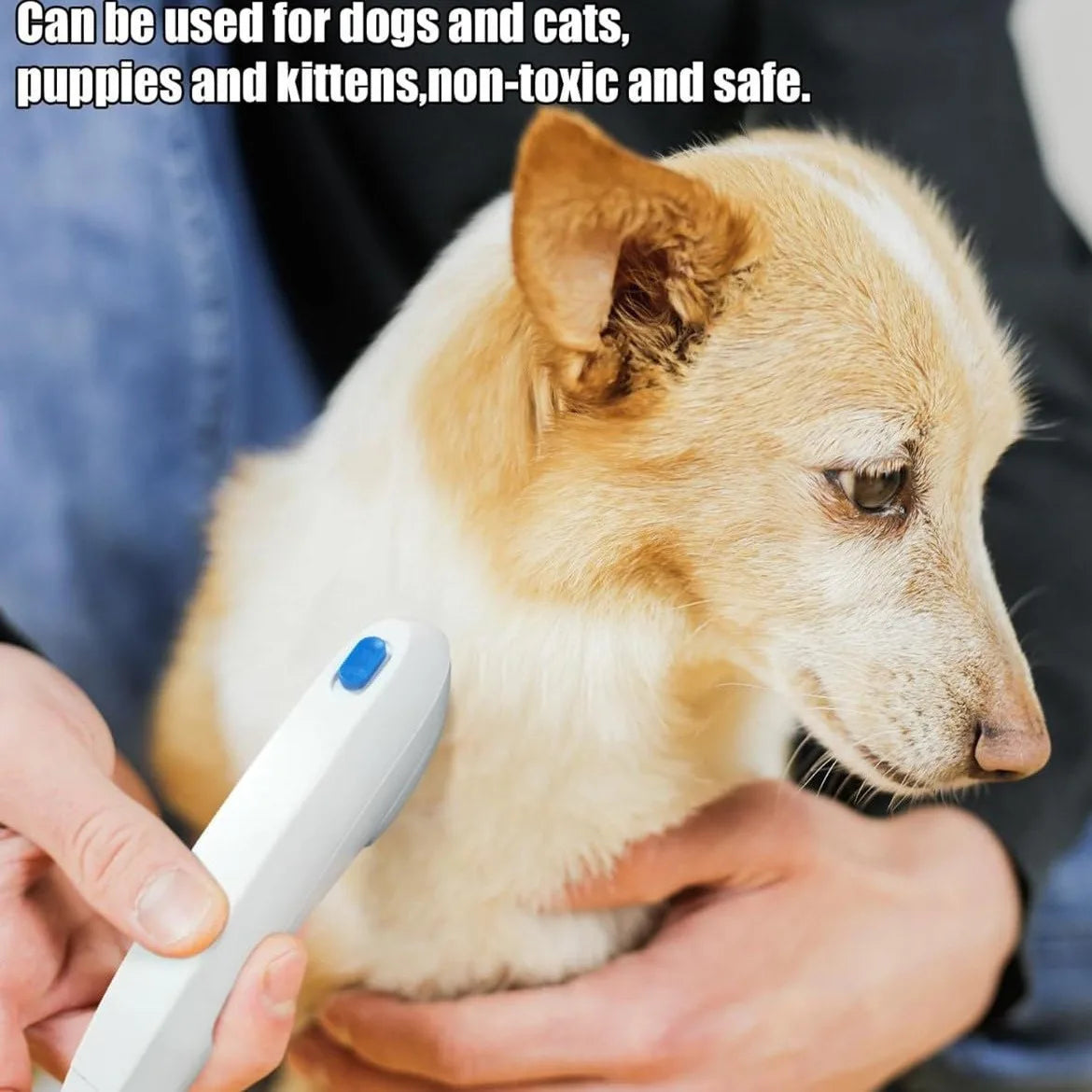 Electronic Flea Comb for Dogs & Cats – Lice, Flea & Egg Remover for Pets