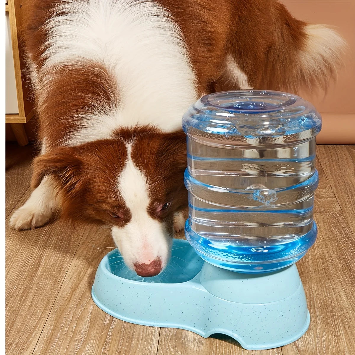 Pet dog and cat water feeding and feeder can be large capacity automatic water storage water feeder and feeder