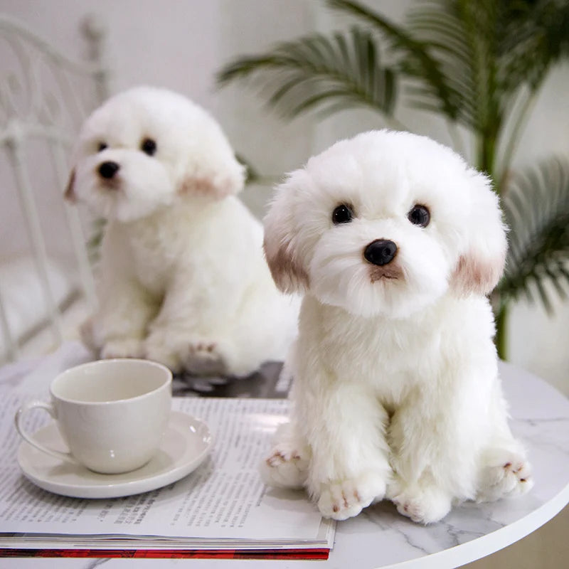 Simulation Bichon Frise Plush dog Toy Super Cute Likelife Pomeranian Stuffed Animals Birthday Puppy Pets toys for pet lovers