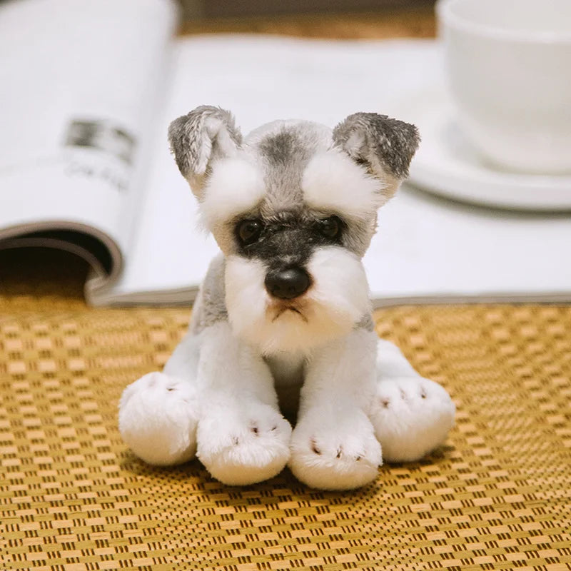 Simulation Bichon Frise Plush dog Toy Super Cute Likelife Pomeranian Stuffed Animals Birthday Puppy Pets toys for pet lovers