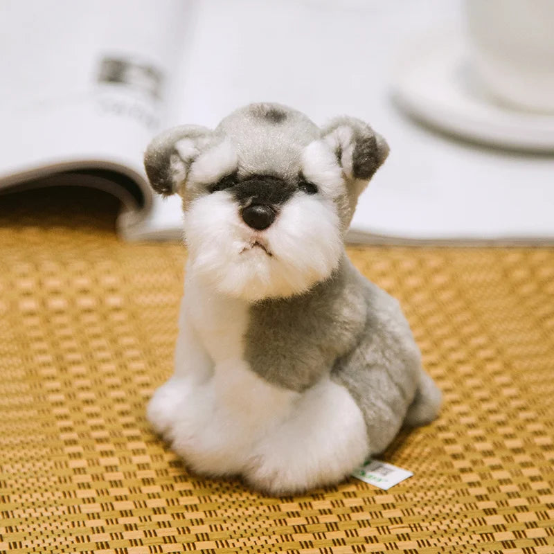Simulation Bichon Frise Plush dog Toy Super Cute Likelife Pomeranian Stuffed Animals Birthday Puppy Pets toys for pet lovers